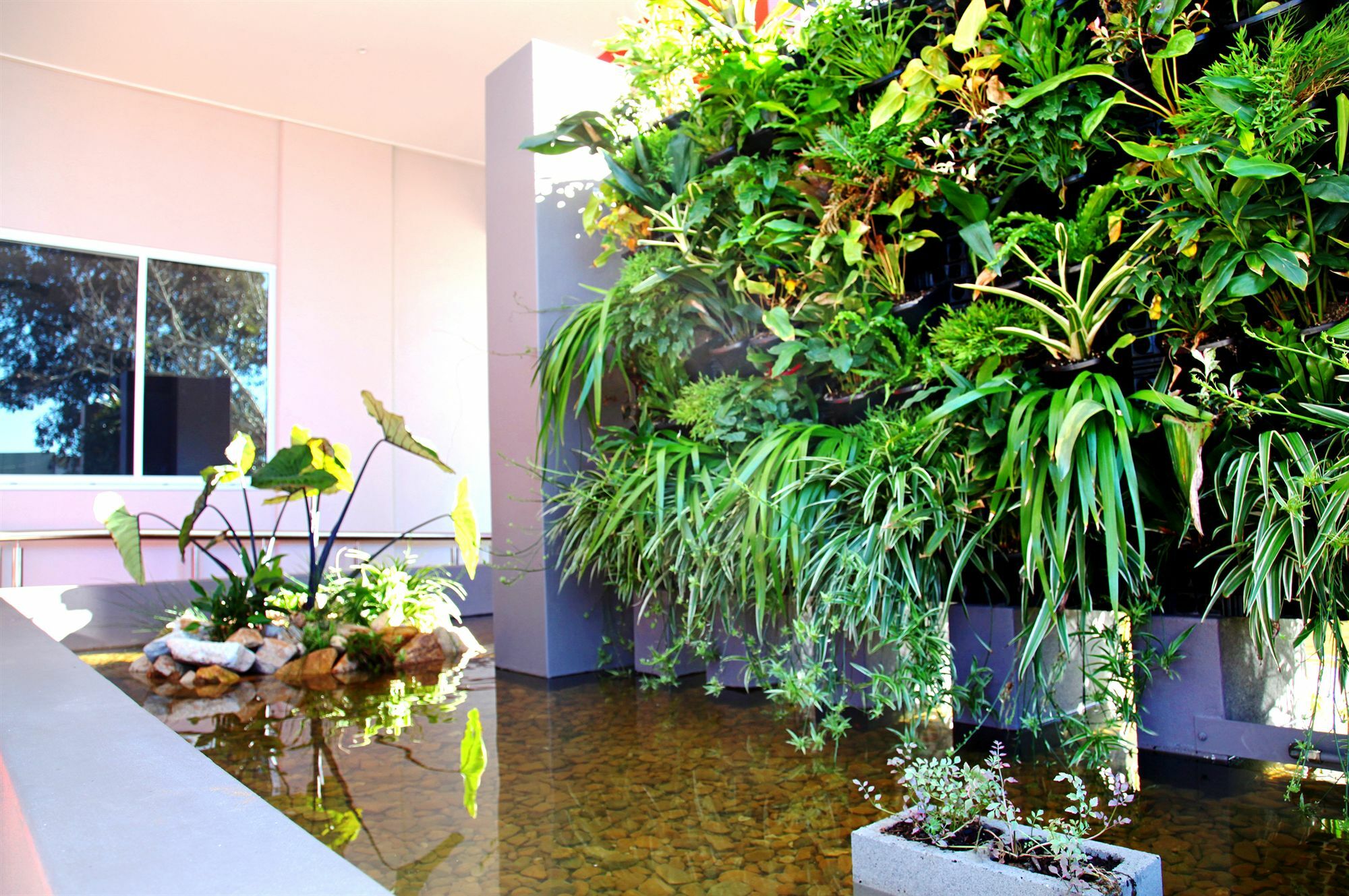 Laguna Serviced Apartments Toowoomba Eksteriør bilde